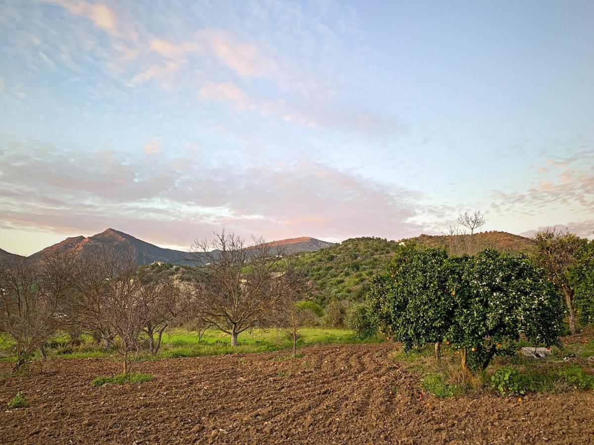Vivelorural Casa Y Piscina En Zahara De La Sierra Villa Eksteriør bilde