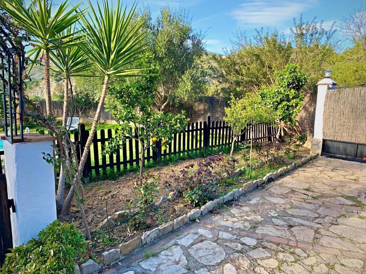 Vivelorural Casa Y Piscina En Zahara De La Sierra Villa Eksteriør bilde